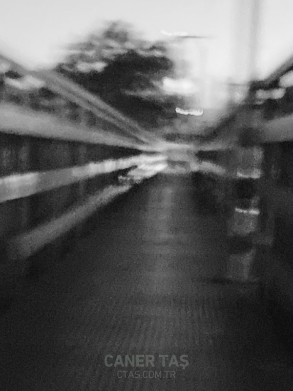 Franz Kafka’yı (Yanlış)&nbsp;Anlamak